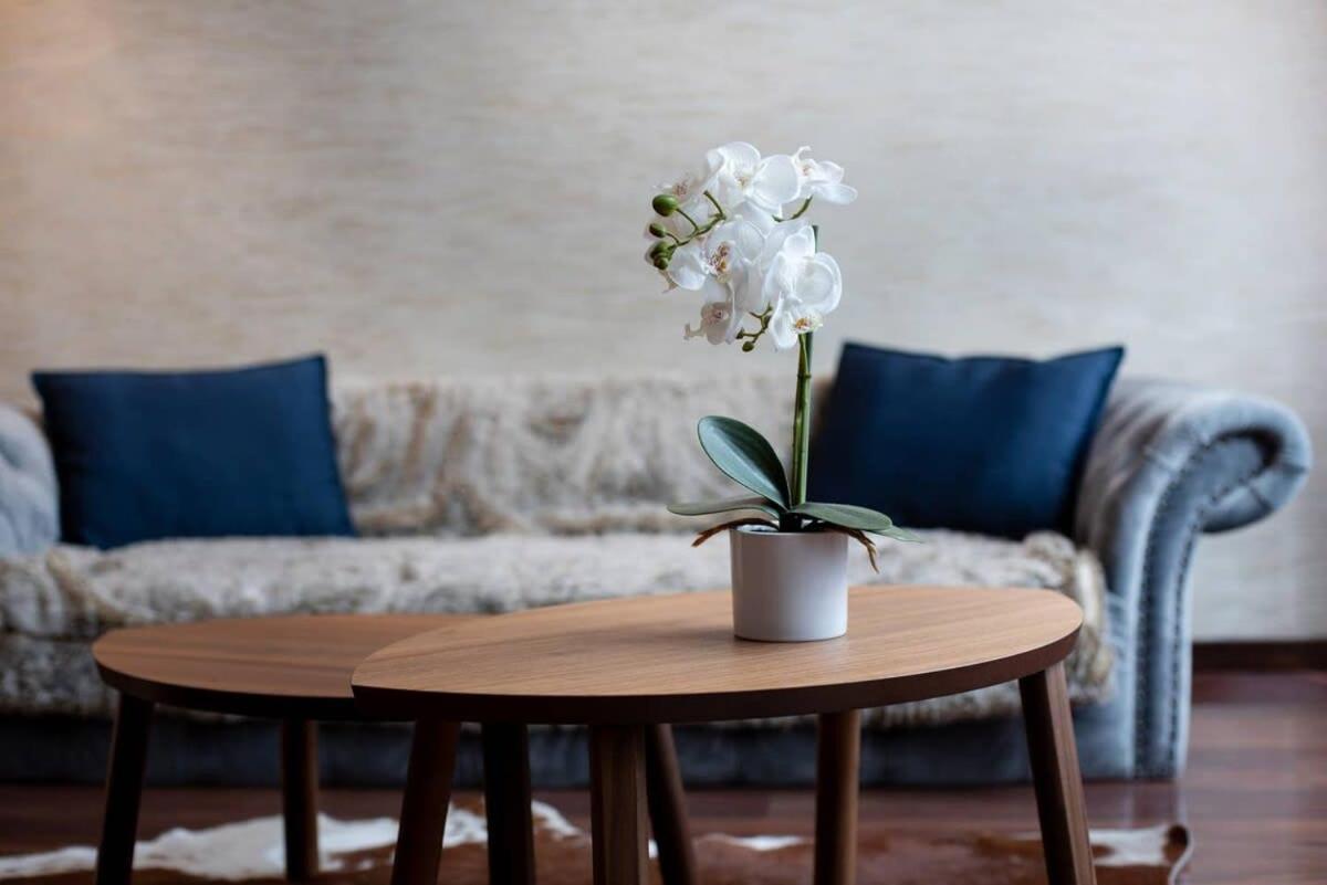 Central Luxy Design Apartment 布达佩斯 外观 照片